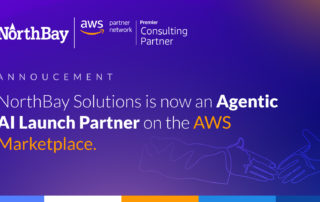 Agentic AI Launch Partner