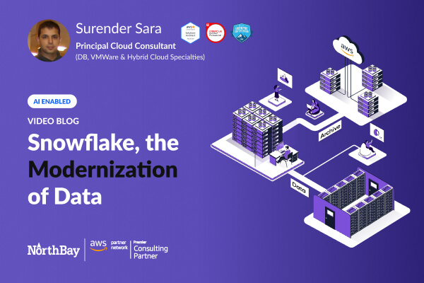 Snowflake, the Modernization of Data