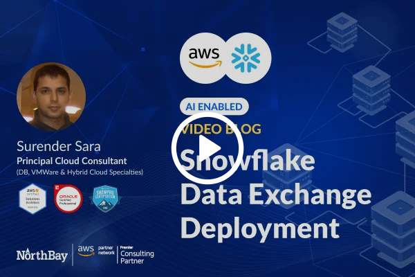 Snowflake Data Cloud Platform